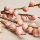 Pink Berry Branch