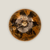 Sepia Brown Apple Decor