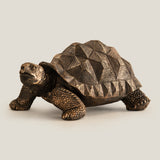 Bronze Turtle Sculpture