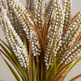 White Wheatgrass Potted Plant