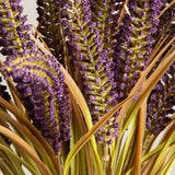 Lavender Wheatgrass Potted Plant