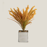 Yellow Wheatgrass Potted Plant