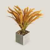 Yellow Wheatgrass Potted Plant