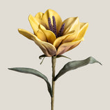 Hibiscus Yellow & Purple Flower