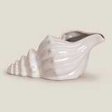 Seashell Off-White Decor