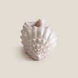 Seashell Off-White Decor