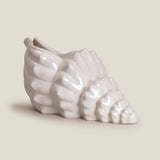 Seashell Off-White Decor