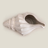 Seashell Off-White Decor
