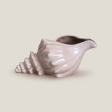 Seashell Grey Decor
