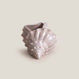 Seashell Grey Decor