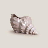Seashell Grey Decor