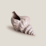 Seashell Grey Decor