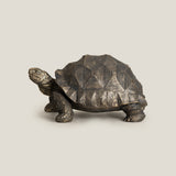 Bronze Turtle Decor Sculpture L