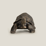 Bronze Turtle Decor Sculpture L
