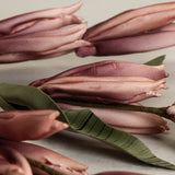 Blush Gladioli Bud Stem