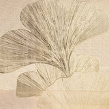 Ginkgo Fossil Canvas