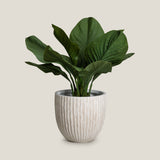 Groveline Beige Planter S