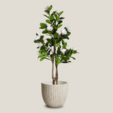 Groveline Beige Planter L