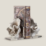 Coralle Beige Bookends set of 2
