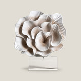 Coralle Accent Decor