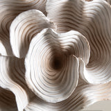 Coralle Accent Decor