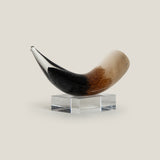 Cornua Glass Decor