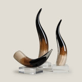 Cornua Glass Decor