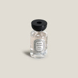 Arctic Silver Reed Diffuser