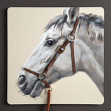 Rein Dark Grey Framed Canvas