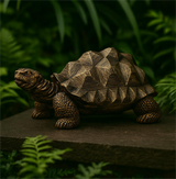 Bronze Turtle Sculpture