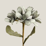 Aqua Geranium Foam Flower