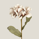 Beige Geranium Foam Flower