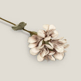 Beige Geranium Foam Flower