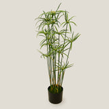 Onion Grass Potted Plant