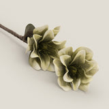 Green Cottonwood Foam Flower