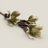 Green Chinese Magnolia Foam Flower