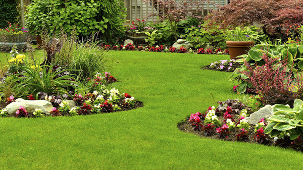 Tips To Keep Your Garden Thriving & Blooming During the Winters