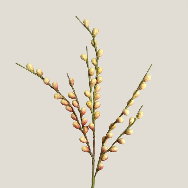 Green Berry Branch