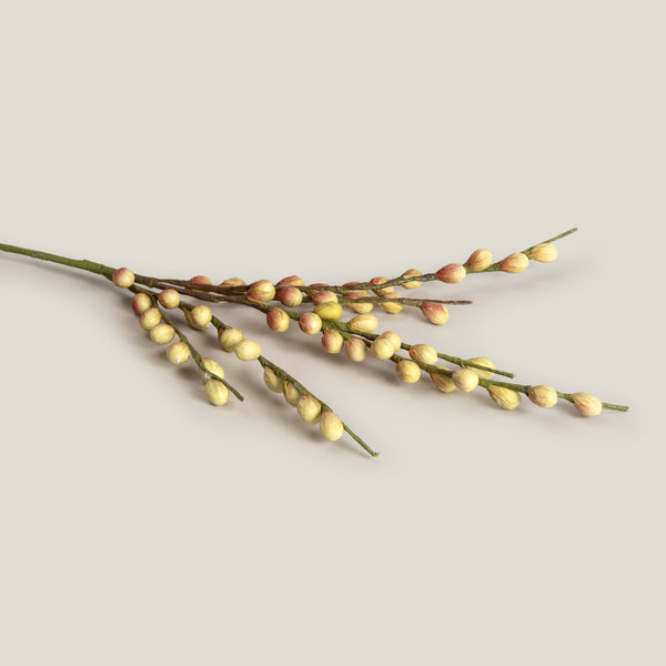 Green Berry Branch