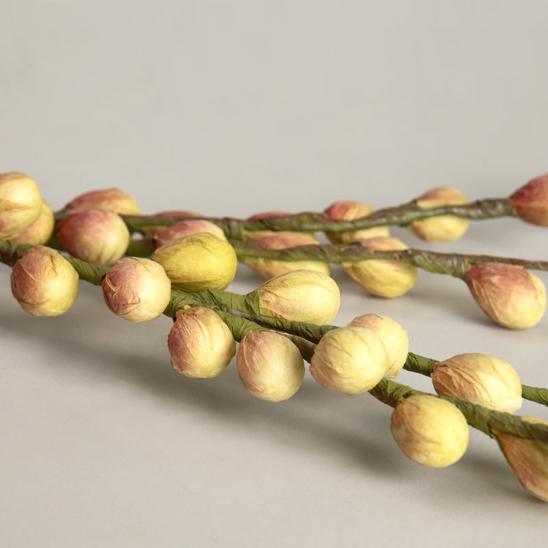 Green Berry Branch