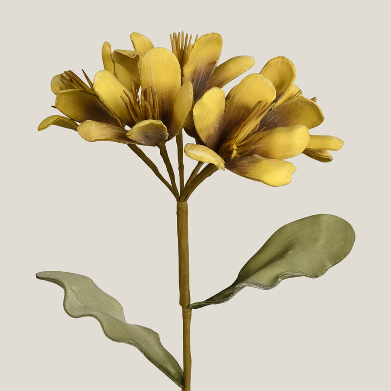 Geranium Yellow Foam Flower