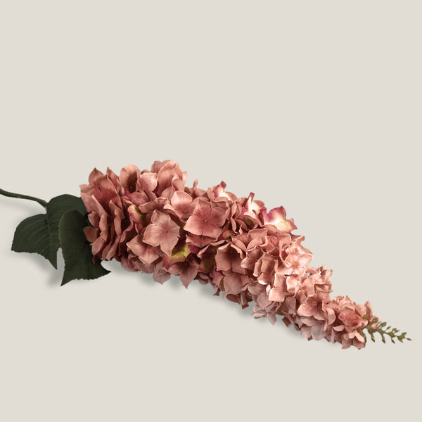Pink Wisteria Flower Stem