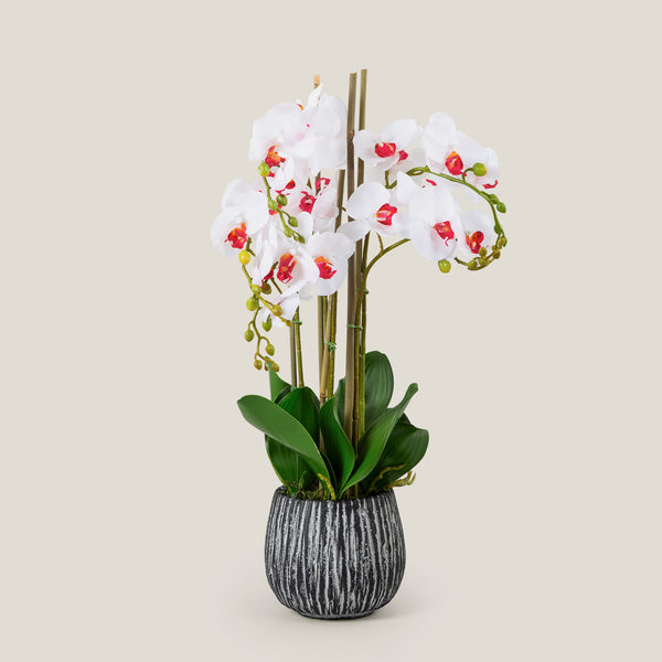 Potted Orchid Polyester White Large
