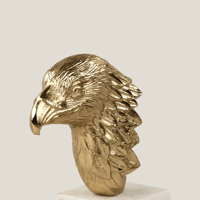 American Eagle Head - II