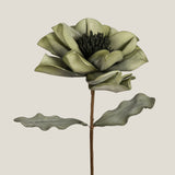 Green Primrose Flower