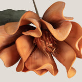 Daffodil Orange Flower