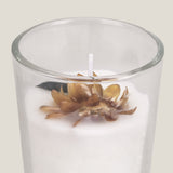 Fluer White Jar Candle Set of 2