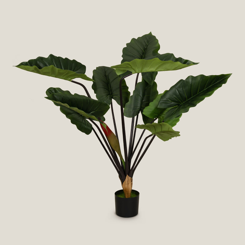 Buy Green Colocasia Potted Tree S Online in India