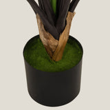  Green Colocasia Potted Tree S Online Shopping in India
