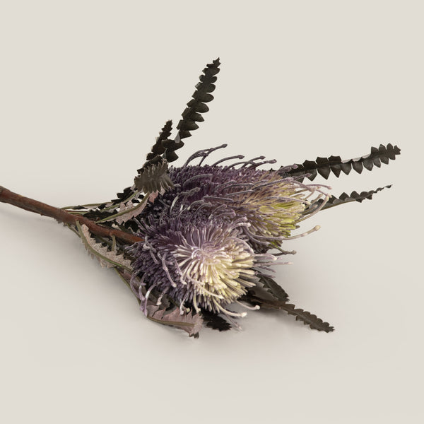 Shop Purple Hairpin Banksia Flower Online in India